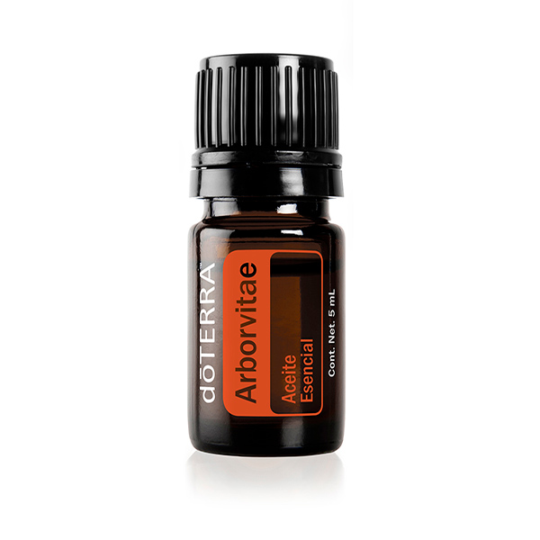 Arborvitae