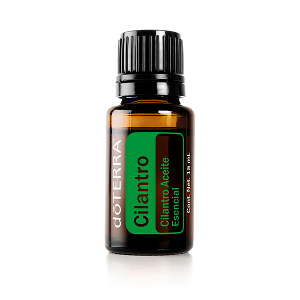 Cilantro